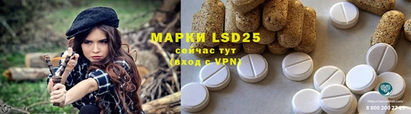 прущий лед Аркадак