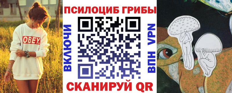 Галлюциногенные грибы GOLDEN TEACHER Омутнинск
