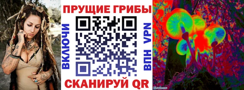 где продают наркотики  mega маркетплейс  Галлюциногенные грибы GOLDEN TEACHER  Омутнинск 